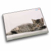 Läufer Schreibunterlage Katze grau, 400 x 530 mm